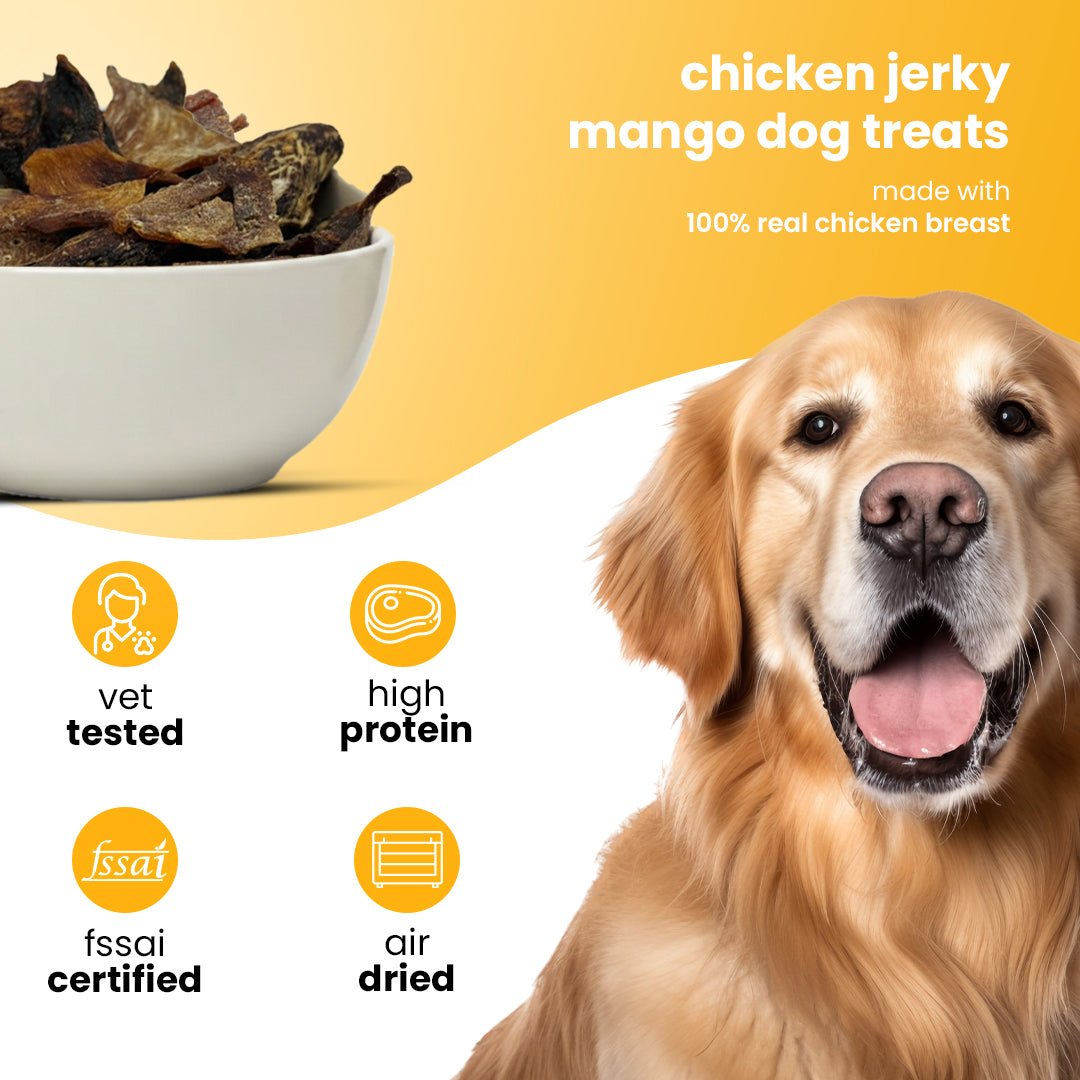 Nootie Fruit and Chicken Dog Treats (80g) 