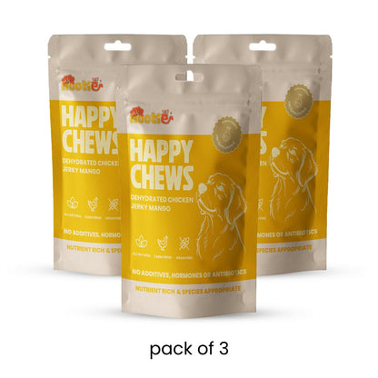 Nootie Fruit and Chicken Dog Treats (80g) 