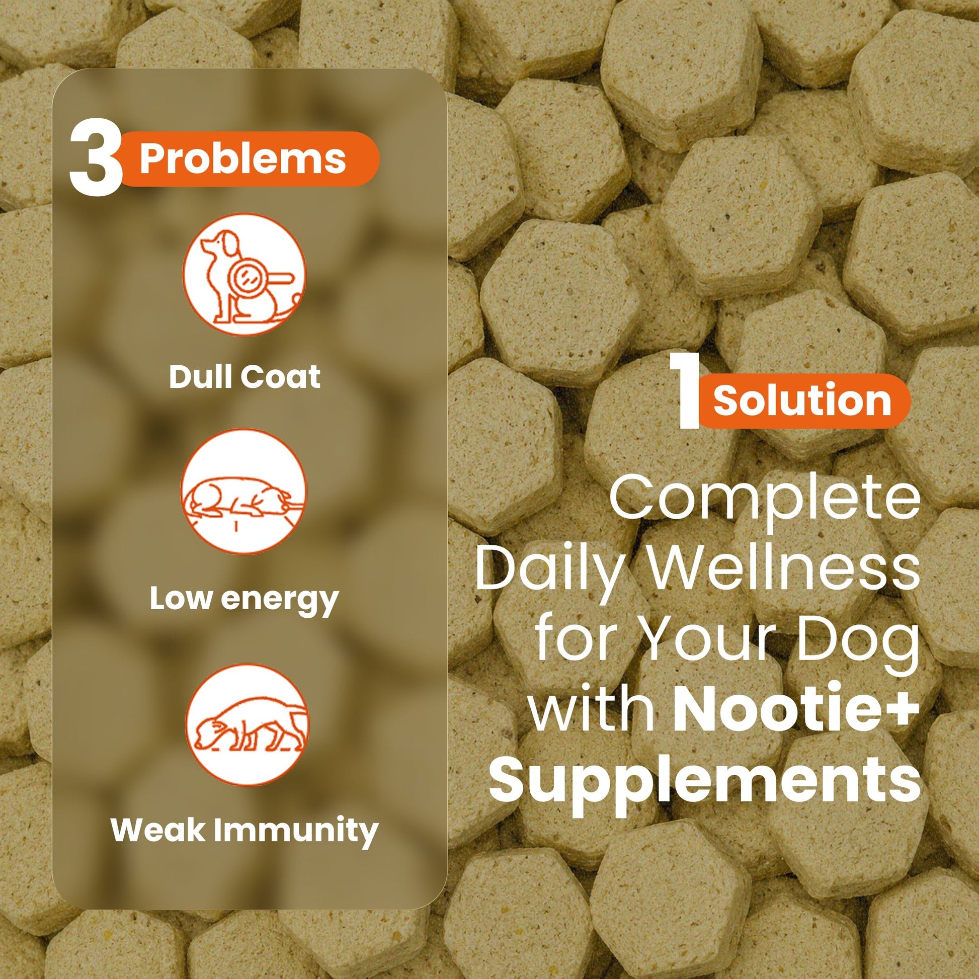 Nootie+ Health Chews for Dogs (30 chews) | Daily Wellness - Multi-vitamins for Immune Support, Better Vision & Healthy Skin - nootie.in