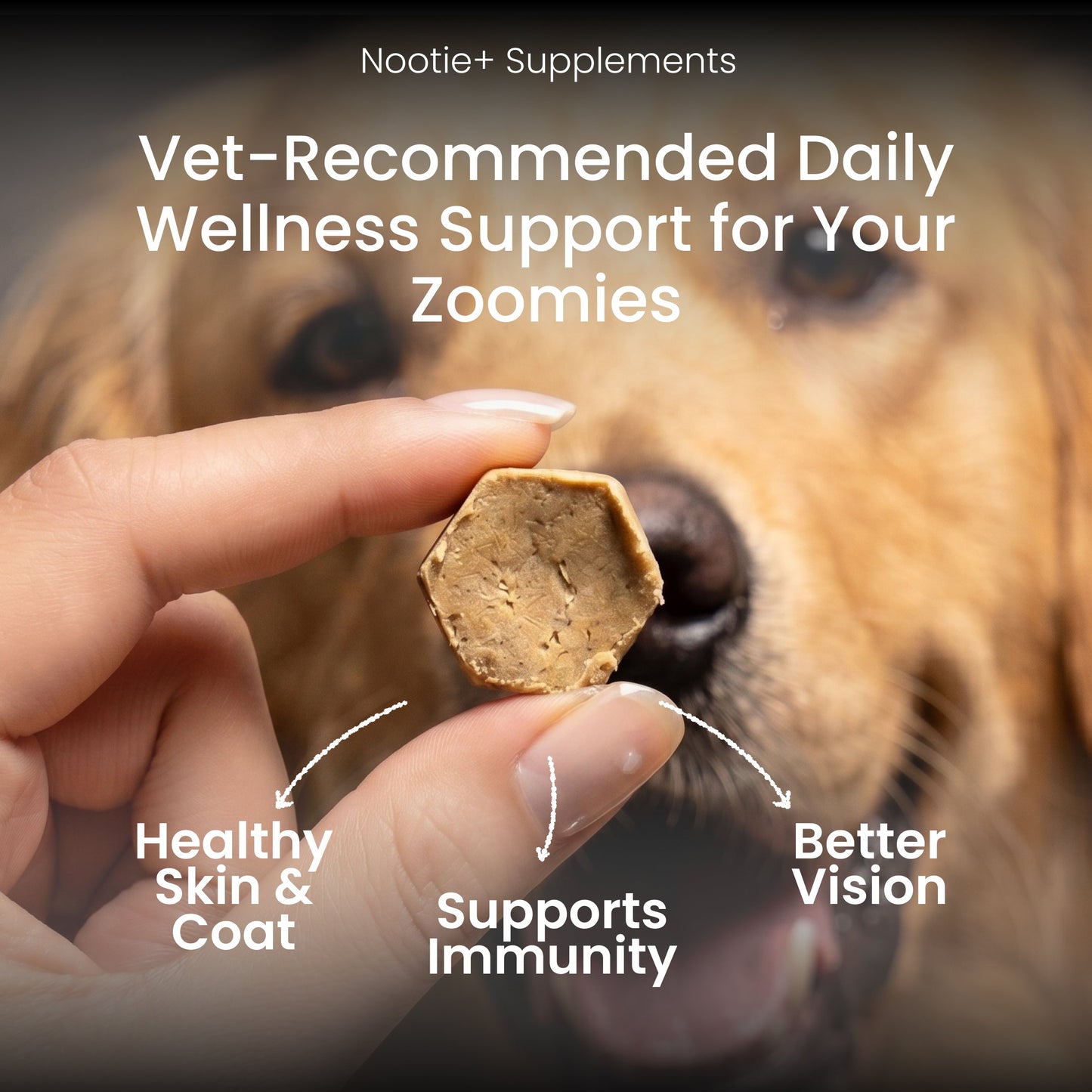 Nootie+ Health Chews for Dogs (30 chews) | Daily Wellness - Multi-vitamins for Immune Support, Better Vision & Healthy Skin - nootie.in