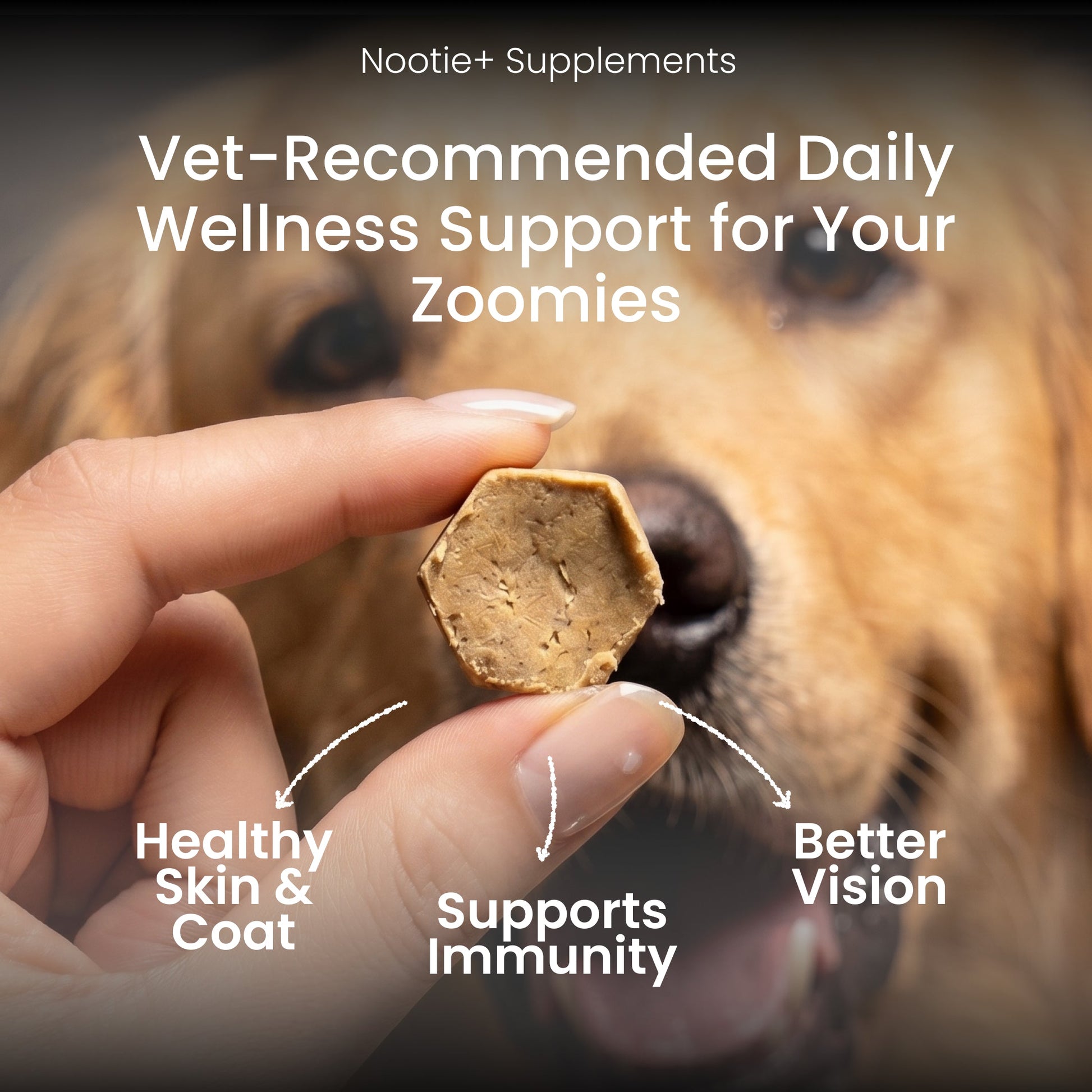 Nootie+ Health Chews for Dogs (30 chews) | Daily Wellness - Multi-vitamins for Immune Support, Better Vision & Healthy Skin - nootie.in