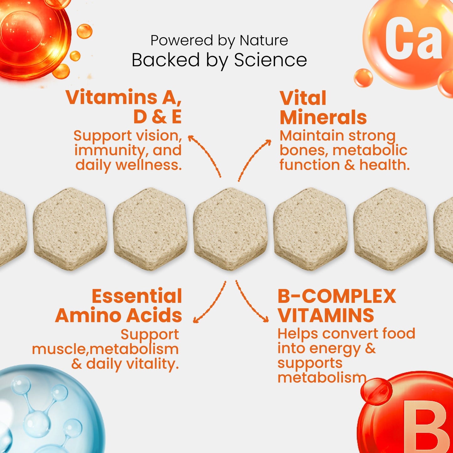 Nootie+ Health Chews for Dogs (30 chews) | Daily Wellness - Multi-vitamins for Immune Support, Better Vision & Healthy Skin - nootie.in