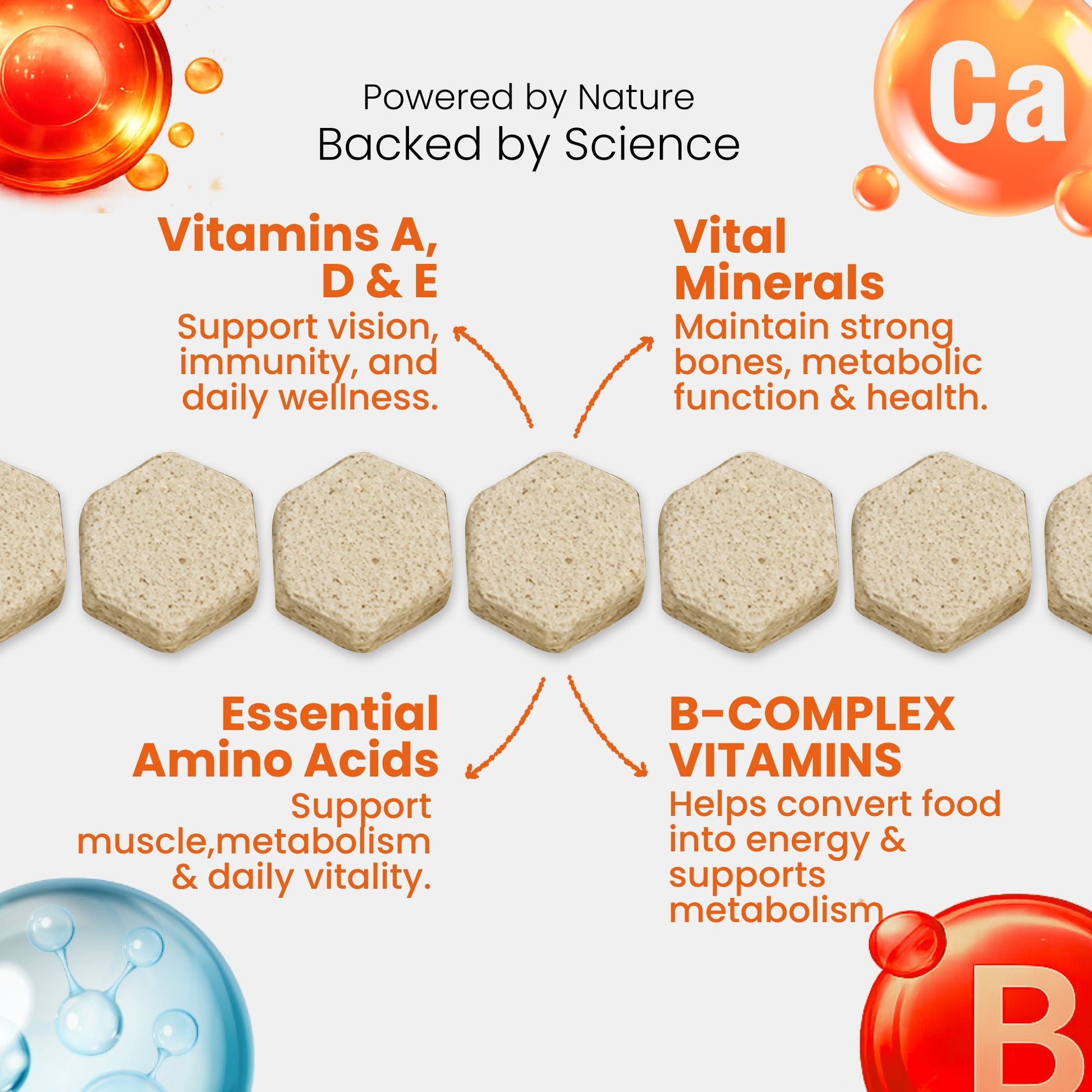 Nootie+ Health Chews for Dogs (30 chews) | Daily Wellness - Multi-vitamins for Immune Support, Better Vision & Healthy Skin - nootie.in