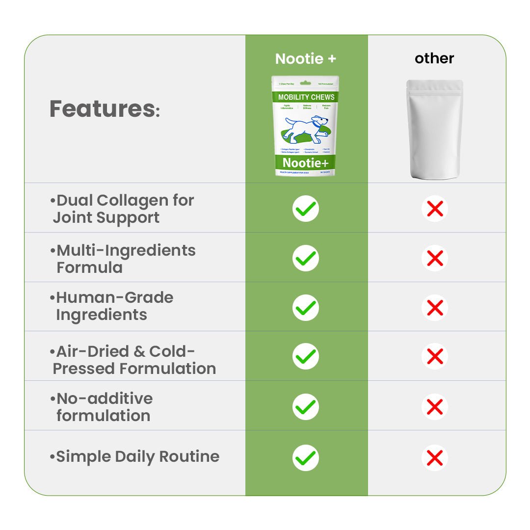 Nootie+ Health Chews for Dogs (30 chews) | Joint Support & Mobility - Joint Support, Pain Relief & Anti-Inflammation - nootie.in