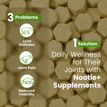 Nootie+ Health Chews for Dogs (30 chews) | Joint Support & Mobility - Joint Support, Pain Relief & Anti-Inflammation - nootie.in