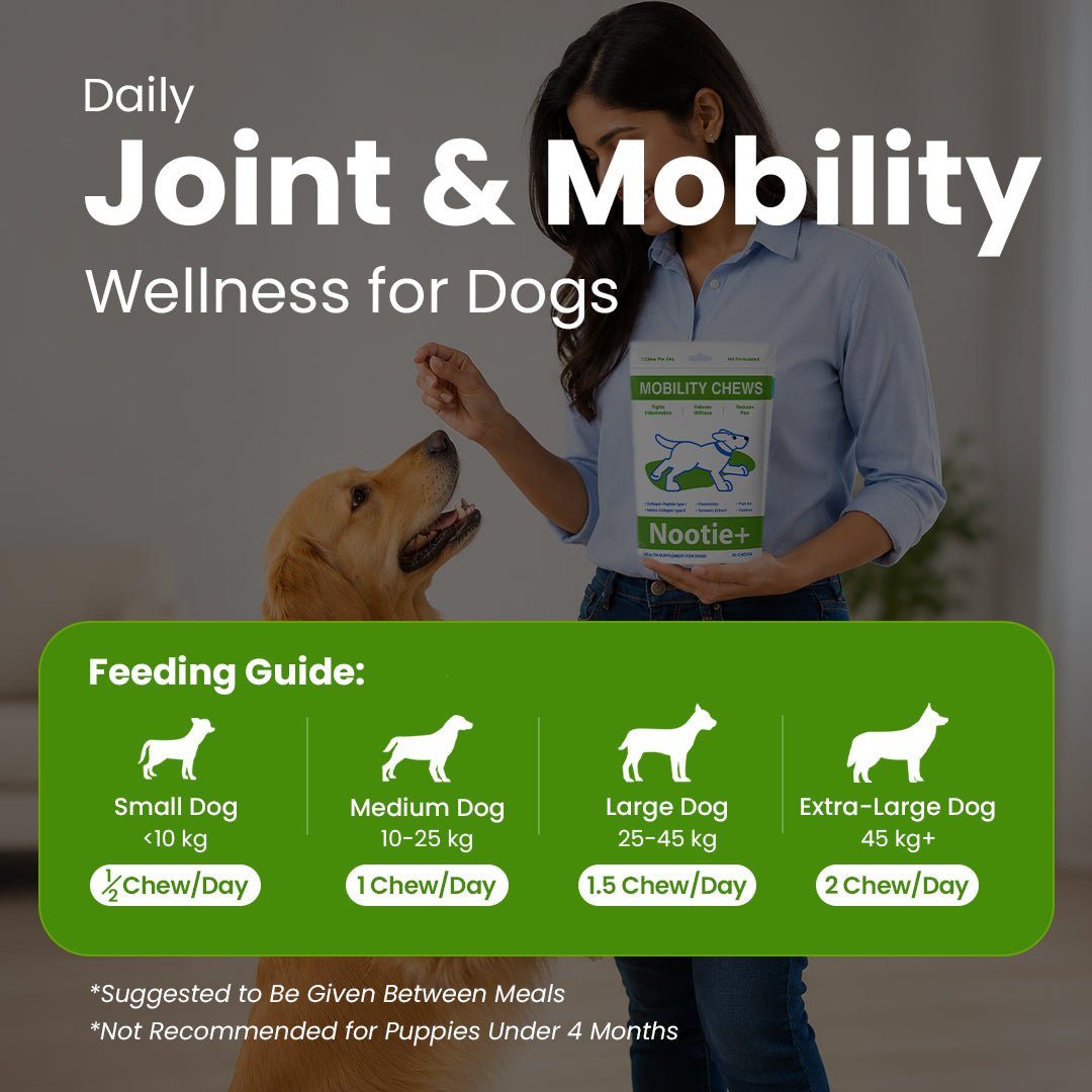 Nootie+ Health Chews for Dogs (30 chews) | Joint Support & Mobility - Joint Support, Pain Relief & Anti-Inflammation - nootie.in