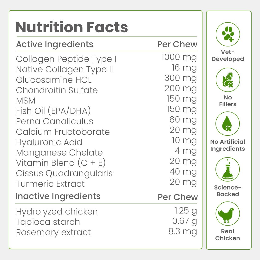 Nootie+ Health Chews for Dogs (30 chews) | Joint Support & Mobility - Joint Support, Pain Relief & Anti-Inflammation - nootie.in