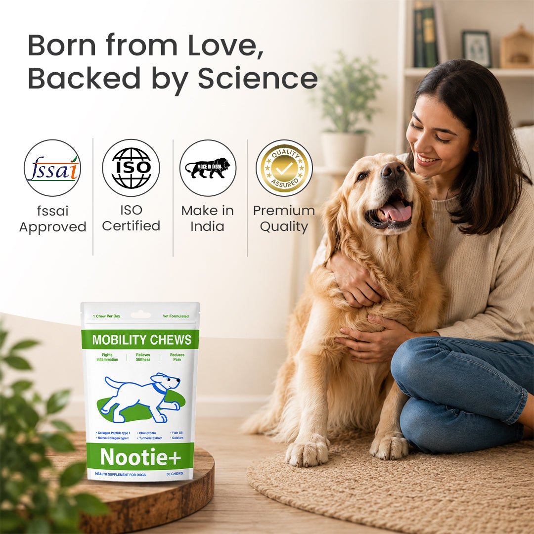 Nootie+ Health Chews for Dogs (30 chews) | Joint Support & Mobility - Joint Support, Pain Relief & Anti-Inflammation - nootie.in