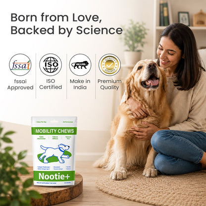 Nootie+ Health Chews for Dogs (30 chews) | Joint Support & Mobility - Joint Support, Pain Relief & Anti-Inflammation - nootie.in