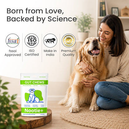 Nootie+ Health Chews for Dogs (30 chews) | Probiotics for Gut Health - Digestive Support, Firmer Stools & Yeast Balance - nootie.in