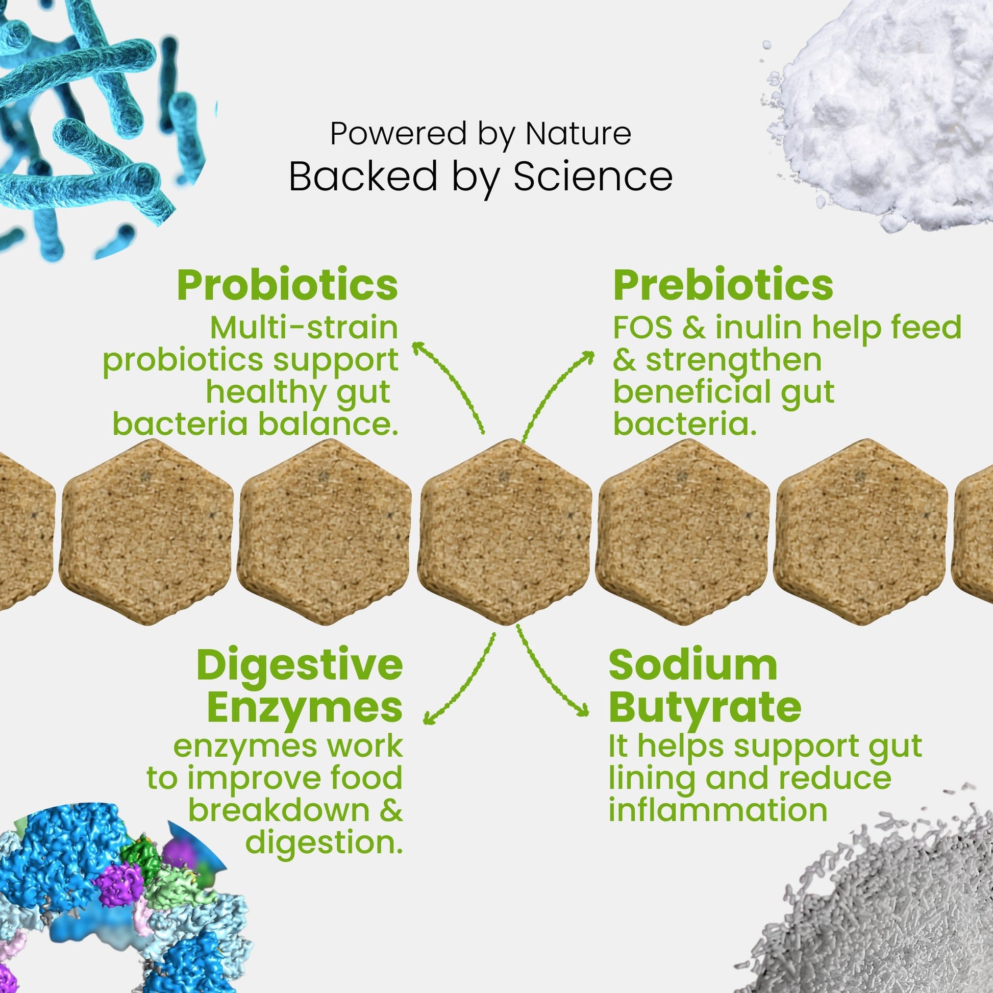 Nootie+ Health Chews for Dogs (30 chews) | Probiotics for Gut Health - Digestive Support, Firmer Stools & Yeast Balance - nootie.in