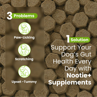 Nootie+ Health Chews for Dogs (30 chews) | Probiotics for Gut Health - Digestive Support, Firmer Stools & Yeast Balance - nootie.in