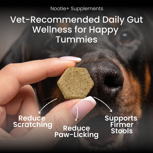 Nootie+ Health Chews for Dogs (30 chews) | Probiotics for Gut Health - Digestive Support, Firmer Stools & Yeast Balance - nootie.in