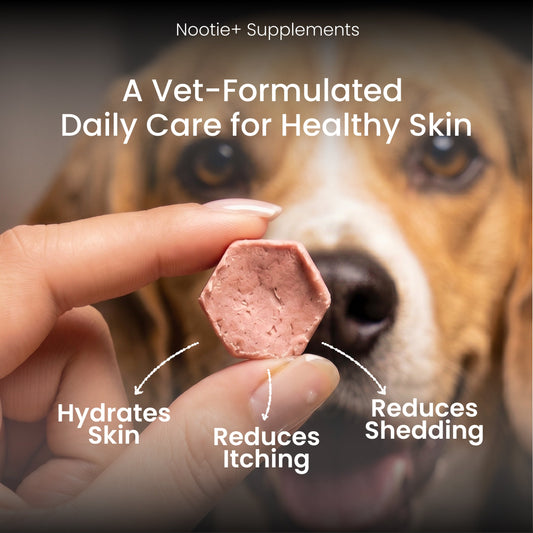 Nootie+ Health Chews for Dogs (30 chews) | Skin and Coat - Hydrates Skin, Reduces Itching & Shedding - nootie.in