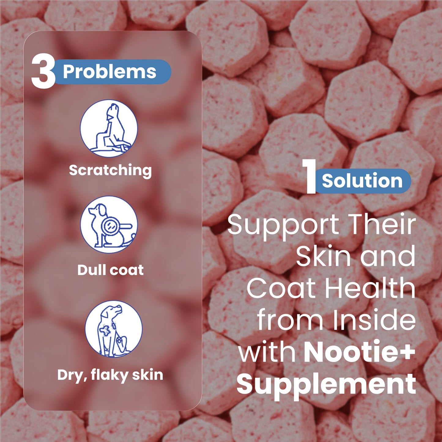 Nootie+ Health Chews for Dogs (30 chews) | Skin and Coat - Hydrates Skin, Reduces Itching & Shedding - nootie.in