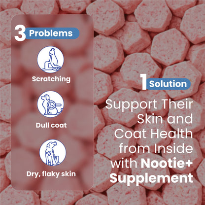 Nootie+ Health Chews for Dogs (30 chews) | Skin and Coat - Hydrates Skin, Reduces Itching & Shedding - nootie.in