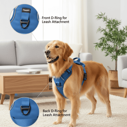 Nootie No-Pull Reflective Dog Harness - Padded Training Vest with Handle for Easy Control - nootie.in