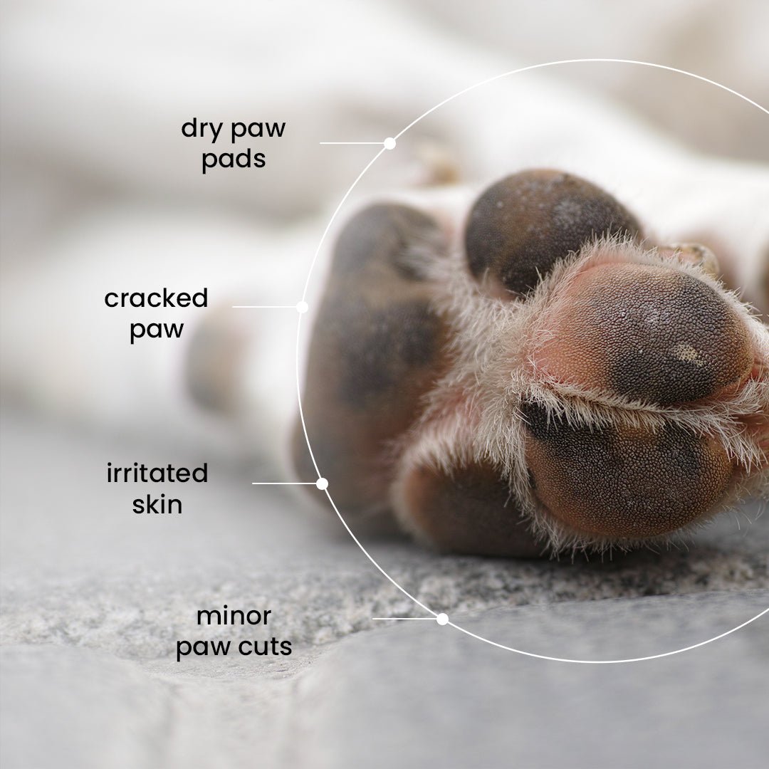 Nootie Natural Paw Balm with Shea & Mango Butter (100g) 