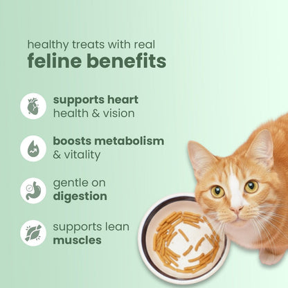 Nootie Chicken Shreds Cat Treats (35g) 