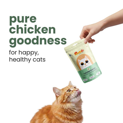 Nootie Chicken Shreds Cat Treats (35g) 