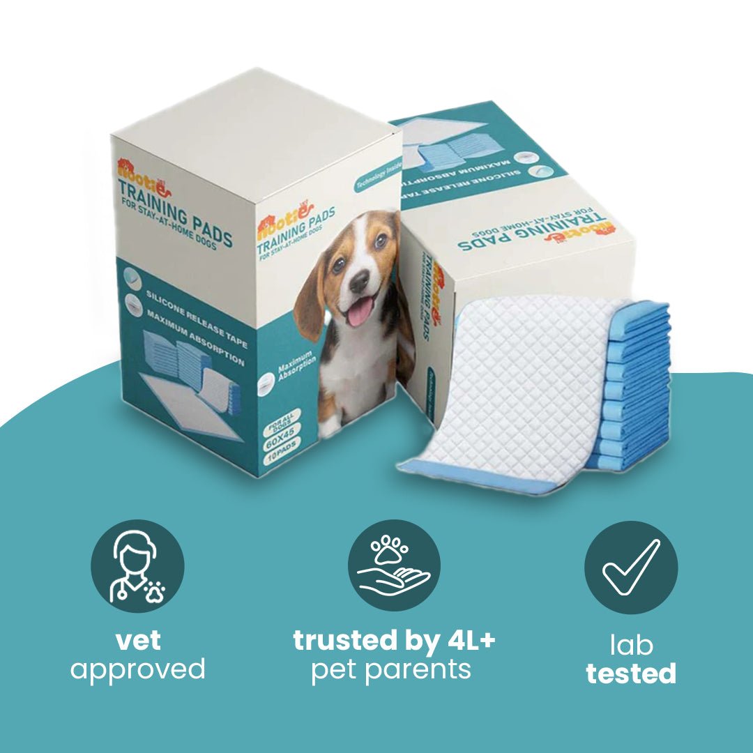 Nootie Puppy Training Pads - Puppy Potty Pads