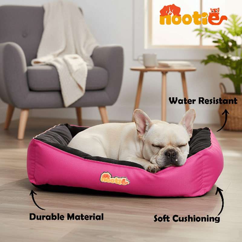Nootie Sofa Basket Pet Bed (Small) -  Washable Dog Bed 