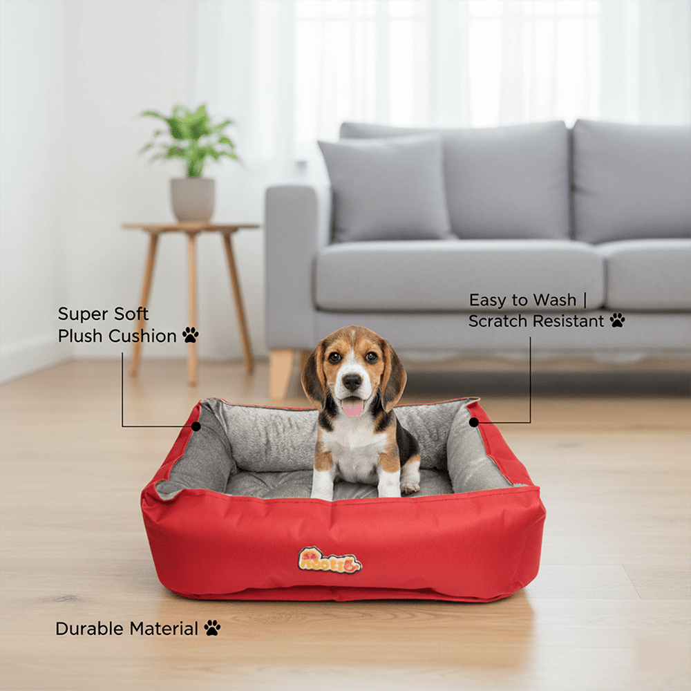Nootie Sofa Basket Pet Bed (Small) - Washable Velvet & Scratch - Resistant Luxury Dog Bed - nootie.in