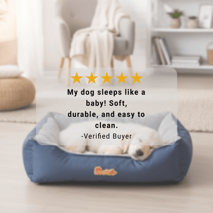 Nootie Sofa Basket Pet Bed (Small) - Washable Velvet & Scratch - Resistant Luxury Dog Bed - nootie.in