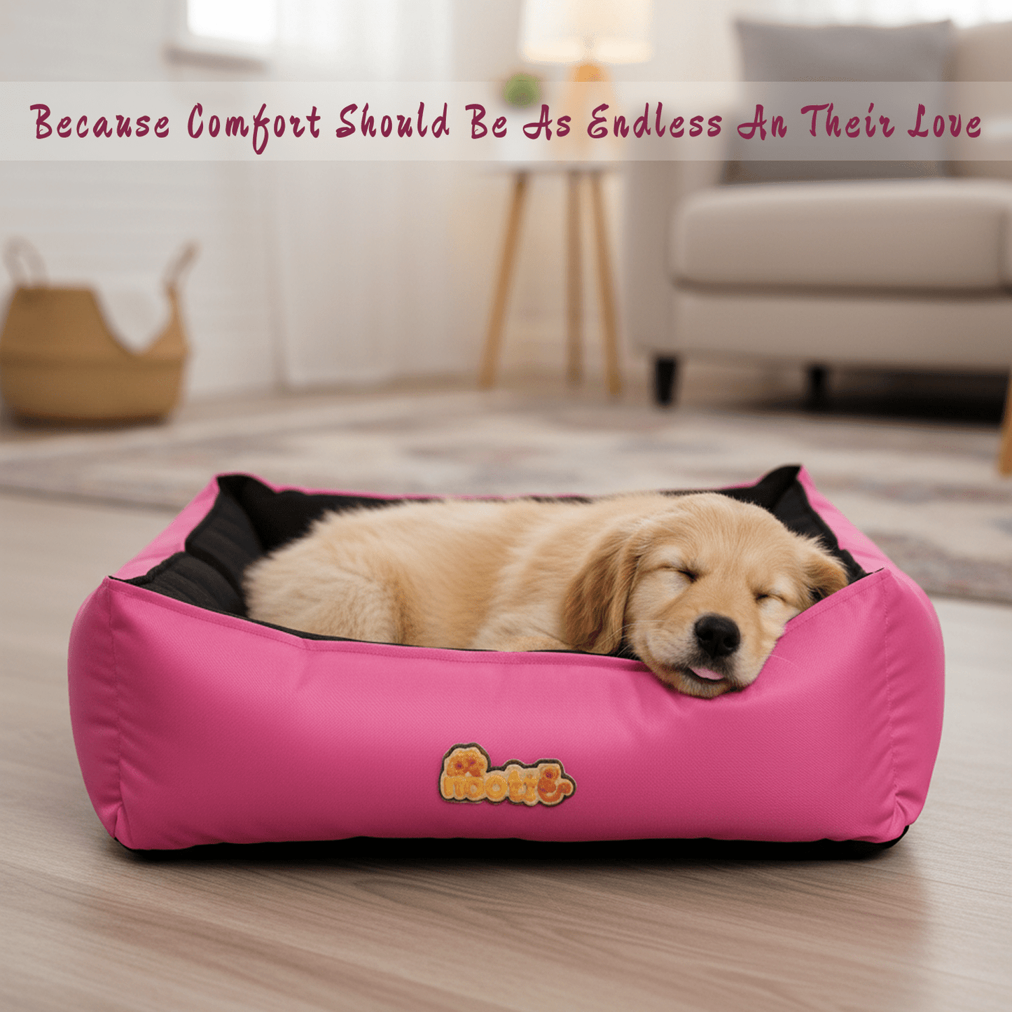 Nootie Sofa Basket Pet Bed (Small) - Washable Velvet & Scratch-Resistant Luxury Dog Bed - nootie.in
