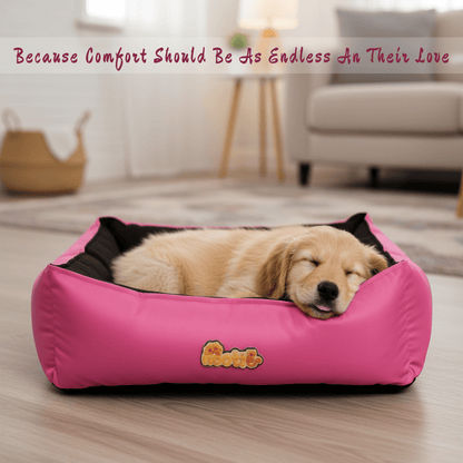Nootie Sofa Basket Pet Bed (Small) - Washable Velvet & Scratch-Resistant Luxury Dog Bed - nootie.in