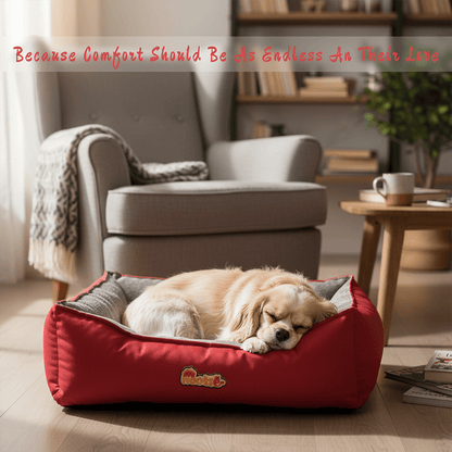 Nootie Sofa Basket Pet Bed (Small) - Washable Velvet & Scratch-Resistant Luxury Dog Bed - nootie.in