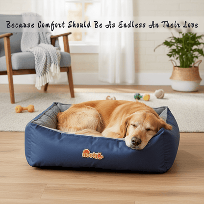 Nootie Sofa Basket Pet Bed (Small) - Washable Velvet & Scratch-Resistant Luxury Dog Bed - nootie.in