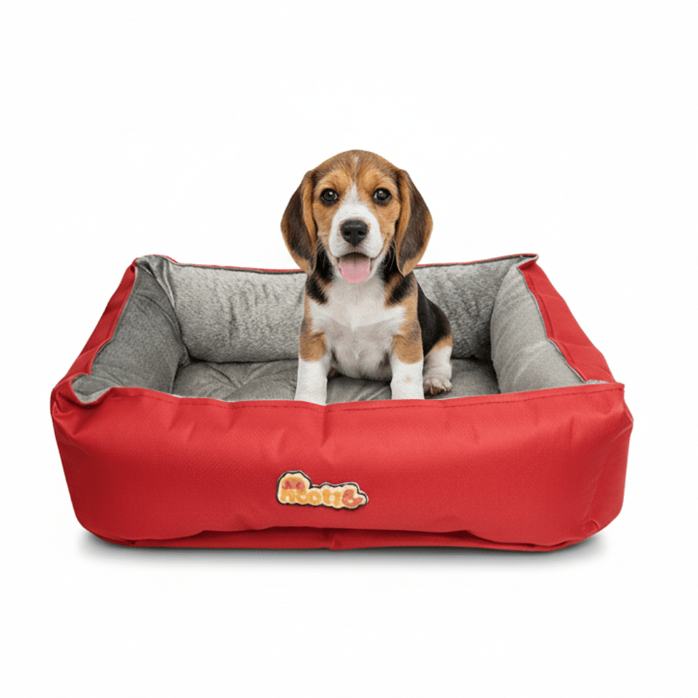 Nootie Sofa Basket Pet Bed (Small) - Washable Velvet & Scratch - Resistant Luxury Dog Bed - nootie.in