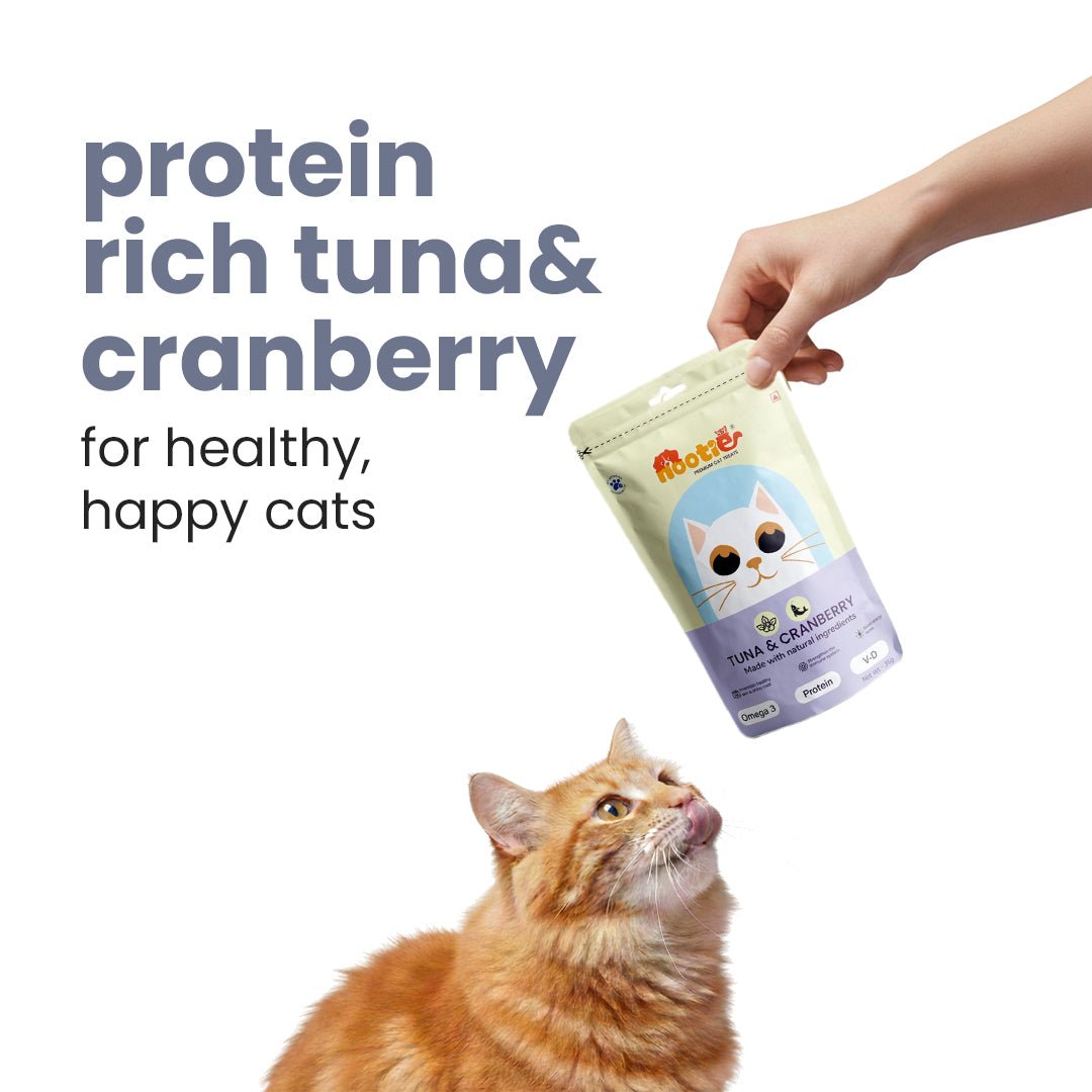 Nootie Tuna & Cranberry Cat Treats (35g) - Omega - 3 Rich Natural Snacks for Urinary Health - nootie.in