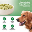 Nootie Large Biscuit Packs for Dogs