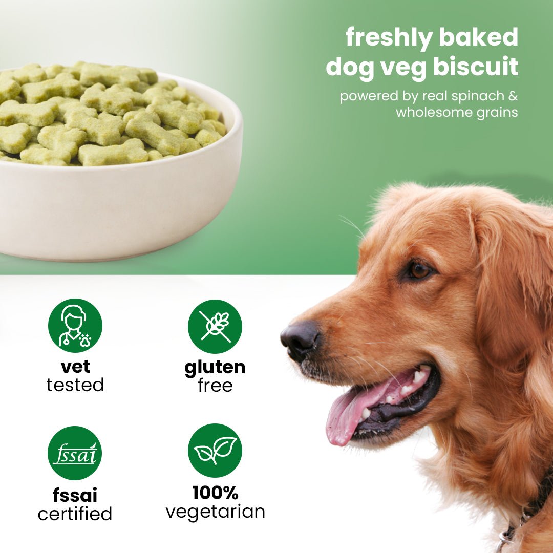 Nootie Vegetarian Spinach Dog Treats Biscuits(900g) 