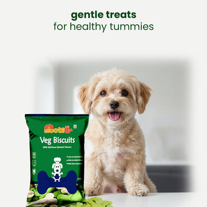 Nootie Vegetarian Spinach Dog Treats Biscuits(900g) 