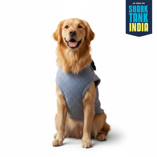 Nootie Dog Sweatshirt with Bow | Double-Layer, Warm, Soft Fleece Fur | Blue