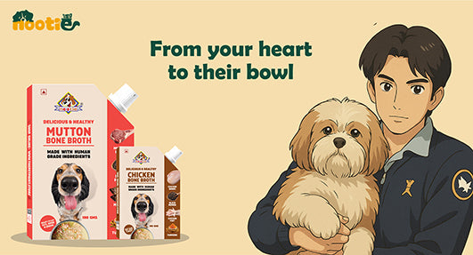 Dog Food
