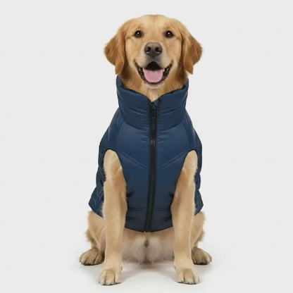 Nootie Reversible Dog Jacket | Blue & Pink | Warm, Lightweight Nylon and Windproof Jacket for Dogs