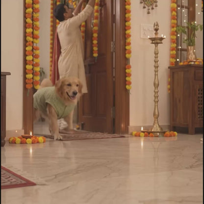 Nootie Dog Kurta - Brocade Lime