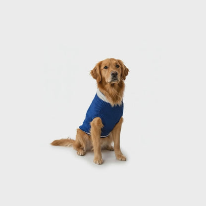 Nootie Dog High Neck Sweater, Blue – Stylish Winter Knitwear for All Breeds