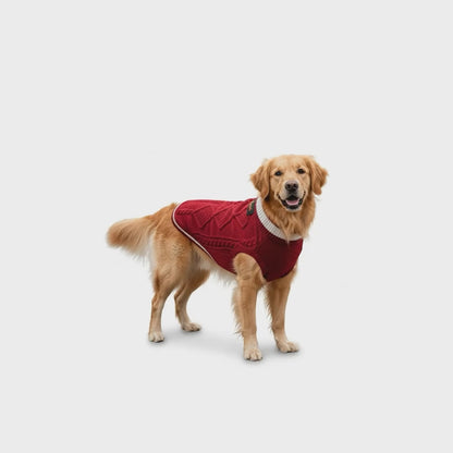 Nootie Dog High Neck Sweater, Red – Stylish Winter Knitwear for All Breeds