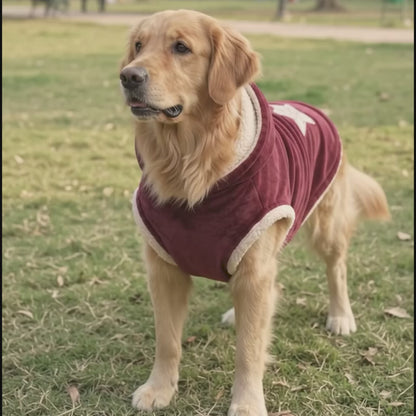 Nootie Dogs Winterwear Hoodie - Red Star