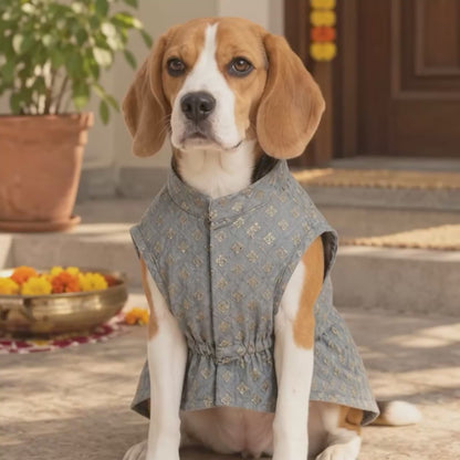 Nootie Dog Kurta - Brocade Grey