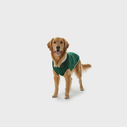Nootie Dog High Neck Sweater, Green – Stylish Winter Knitwear for All Breeds