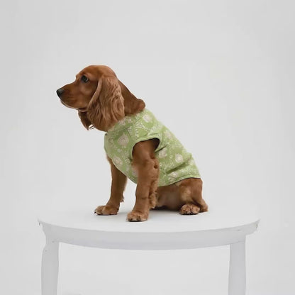 Nootie Festive Sherwani for Dogs – Parrot Green | Traditional Indian Ethnic Wear for Pets