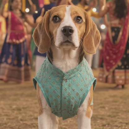 Nootie Dog Kurta - Brocade Light Teal Blue