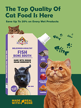Cat Food