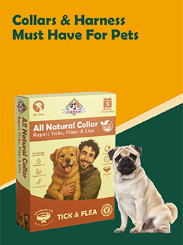 Dog Tick & Flea Aids